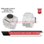 LÒNG KIẾN WAVE 110 TARACING