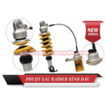 PHUỘT SAU RAIDER BÌNH DẦU
