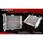 KÉT NƯỚC RAIDER FI SATRIA FI LÀM TAY ĐỘ LỚN