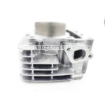 LÒNG TAURUS TRÁI 57 SUMRACING